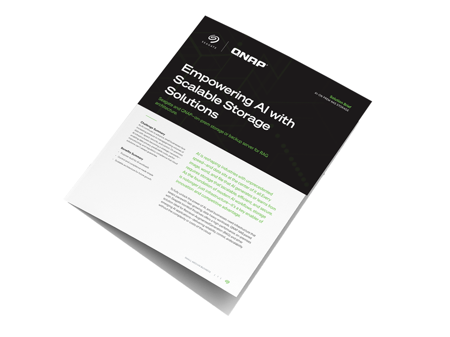 Front cover of solution brief, titled Empowering AI with Scalable Storage Solutions